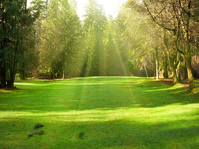 #함안여행#숲#나루#힐링