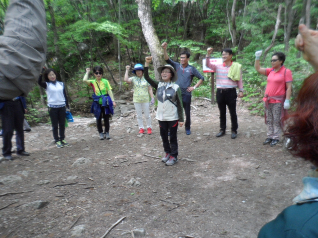 2017. 공공기관 산림교육업 위탁운영(함안군,창녕군,하동군,산청군,,함양군,경상낟도금원...