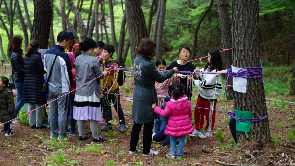 2019. 공공기관 산림교육업 위탁운영(함안군,창녕군,하동군,산청군,경상남도금원산자원...
